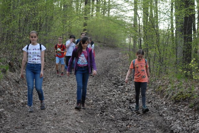Tavaszi bakancsos a Börzsönyben