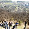Tavaszi bakancsos kirándulás a Börzsönyben