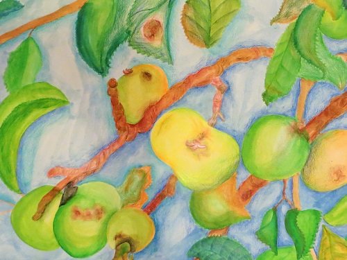 uj_Szoke_Borbala_6.a__Vadalmafa_(vegyes_technika)